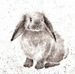 'Rosie' Rabbit Print