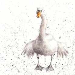 'Swan Fine Day' Swan Print