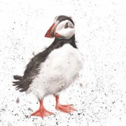 'Little Clown' Puffin Print