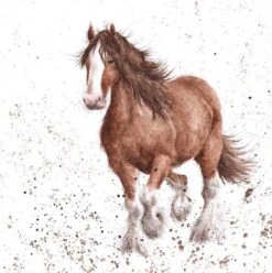'Feathers' Horse Print
