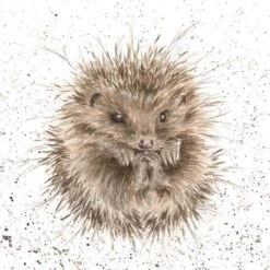 'Awakening' Hedgehog Print