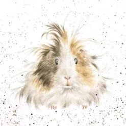 'Style Queen' Guinea Pig Print