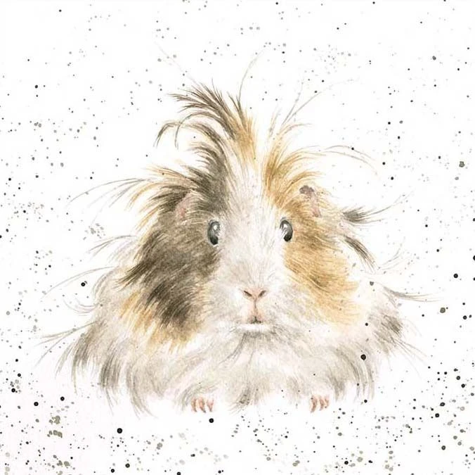 'Style Queen' Guinea Pig Print 3 'Style Queen' Guinea Pig Print