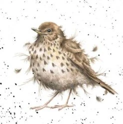 'Songbird' Song Thrush Print