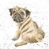 'Pug Love' Pug Print 2 'Pug Love' Pug Print -Home Furnishing Store cs063