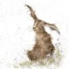 'Harebells' Hare Print -Home Furnishing Store cs089