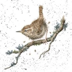 'King Of Birds' Wren Print