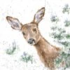 'Doe A Deer' Deer Print -Home Furnishing Store cs116