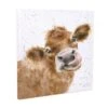 'Moooo' Cow Canvas 2 'Moooo' Cow Canvas -Home Furnishing Store cs127