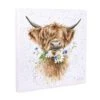 'Daisy Coo' Highland Cow Canvas -Home Furnishing Store cs150