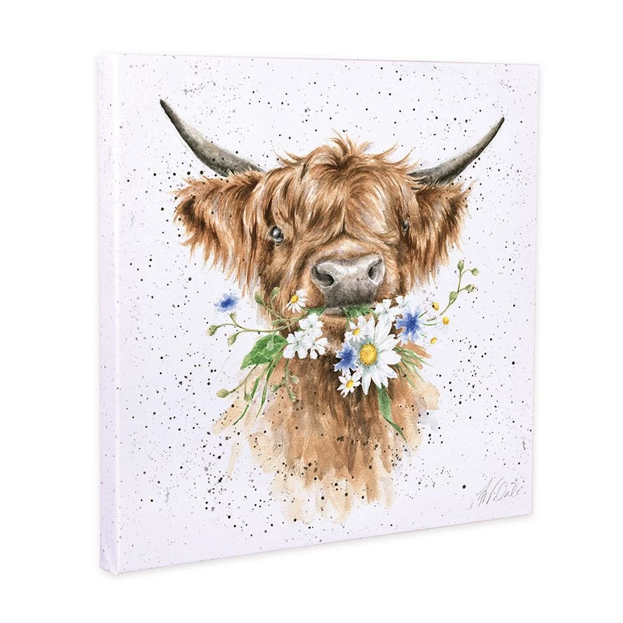 'Daisy Coo' Highland Cow Canvas 3 'Daisy Coo' Highland Cow Canvas