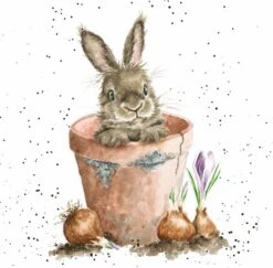 'The Flower Pot' Rabbit Print