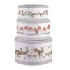 Country Animal Christmas Cake Tin Nest -Home Furnishing Store ctn003 4