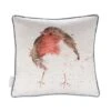 'Jolly Robin' Robin Cushion -Home Furnishing Store cu010 b80e jb