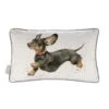 'That Friday Feeling' Dachshund Cushion 2 'That Friday Feeling' Dachshund Cushion -Home Furnishing Store cu036