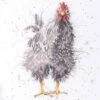 'Curious Hen' Hen Cross Stitch -Home Furnishing Store curious hen 1