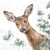 'Doe A Deer' Ltd Print -Home Furnishing Store doe a deer