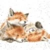 'The Afternoon Nap' Ltd Print -Home Furnishing Store foxes
