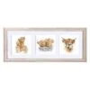 A Trio Of Highland Cows -Home Furnishing Store ft027 a
