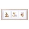 A Gardening Trio 2 A Gardening Trio -Home Furnishing Store ft033 a