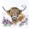 'Highland Heathers' Highland Cow Cross Stitch -Home Furnishing Store highland heathers wb