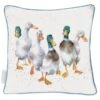 'Quackers' Duck Large Cushion 2 'Quackers' Duck Large Cushion -Home Furnishing Store lcu005