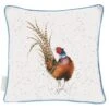 'Ready For My Close Up' Pheasant Large Cushion -Home Furnishing Store lcu007 4