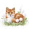 'The Dandy Fox' Fox Print -Home Furnishing Store p171