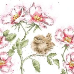 'The Rose Garden' Wren Print
