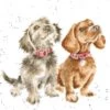 'Treat Time' Dachshund Print -Home Furnishing Store p178