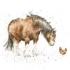'Farmyard Friends' Horse Print 2 'Farmyard Friends' Horse Print -Home Furnishing Store pcs145