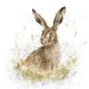 'Into The Wild' Hare Print 1 'Into The Wild' Hare Print -Home Furnishing Store pcs152