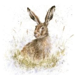 'Into The Wild' Hare Print