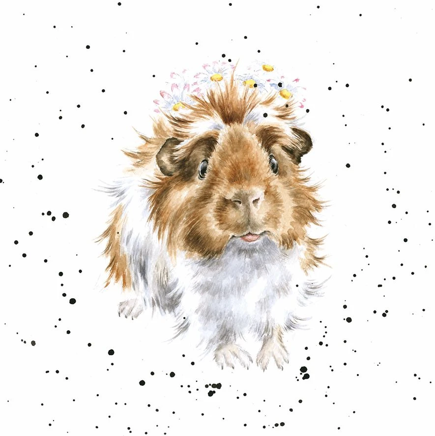 'Grinny Pig' Guinea Pig Print 3 'Grinny Pig' Guinea Pig Print