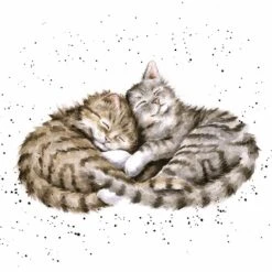 'Sweet Dreams' Cat Print
