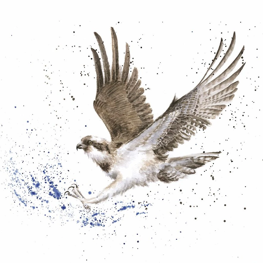 'Gone Fishing' Osprey Print 3 'Gone Fishing' Osprey Print