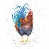 'Colours Of The Rainbow' Cockerel Print 1 'Colours Of The Rainbow' Cockerel Print -Home Furnishing Store pcs201