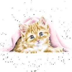 'Duvet Day' Cat Print