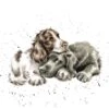 'Growing Old Together' Spaniel & Labrador Print -Home Furnishing Store pcs206
