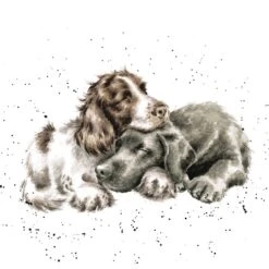 'Growing Old Together' Spaniel & Labrador Print
