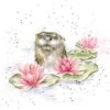 'Lily' Otter Print -Home Furnishing Store pcs211