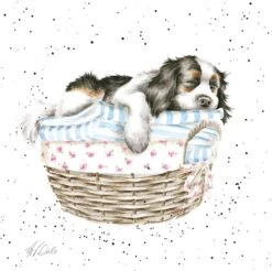 'Wash, Dry, Fold, Repeat' Spaniel Print