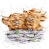 'Blown Away' Highland Cow Print -Home Furnishing Store pcs213 1 2