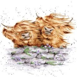 'Blown Away' Highland Cow Print