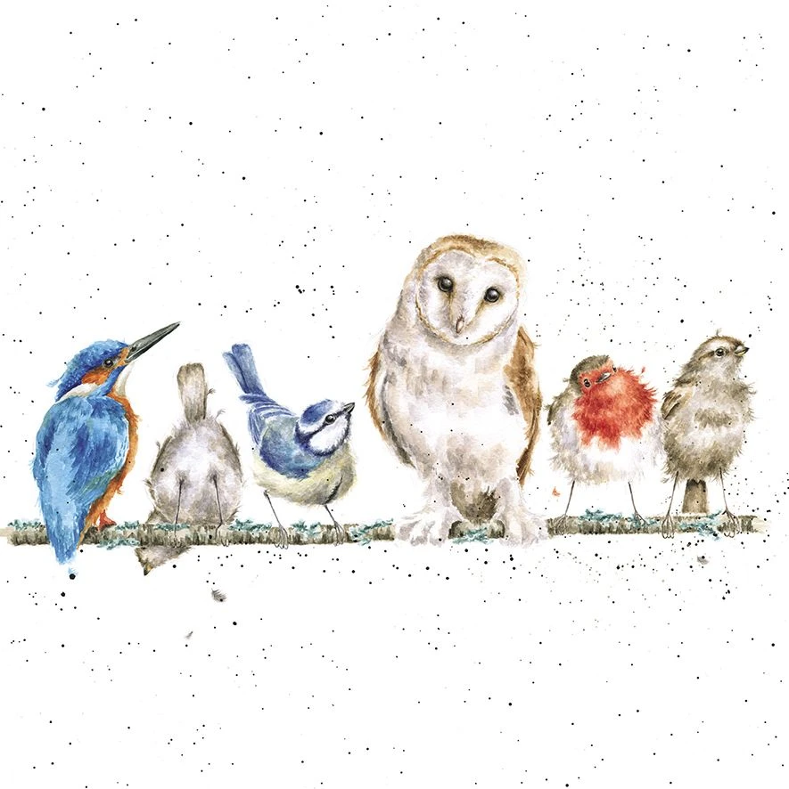 'The Variety Of Life' Bird Print 3 'The Variety Of Life' Bird Print