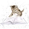 'The Bookworm' Cat Print 2 'The Bookworm' Cat Print -Home Furnishing Store pcs218 1