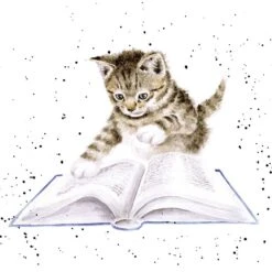 'The Bookworm' Cat Print