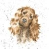 'Fudge' Cocker Spaniel Print -Home Furnishing Store pdr004 1