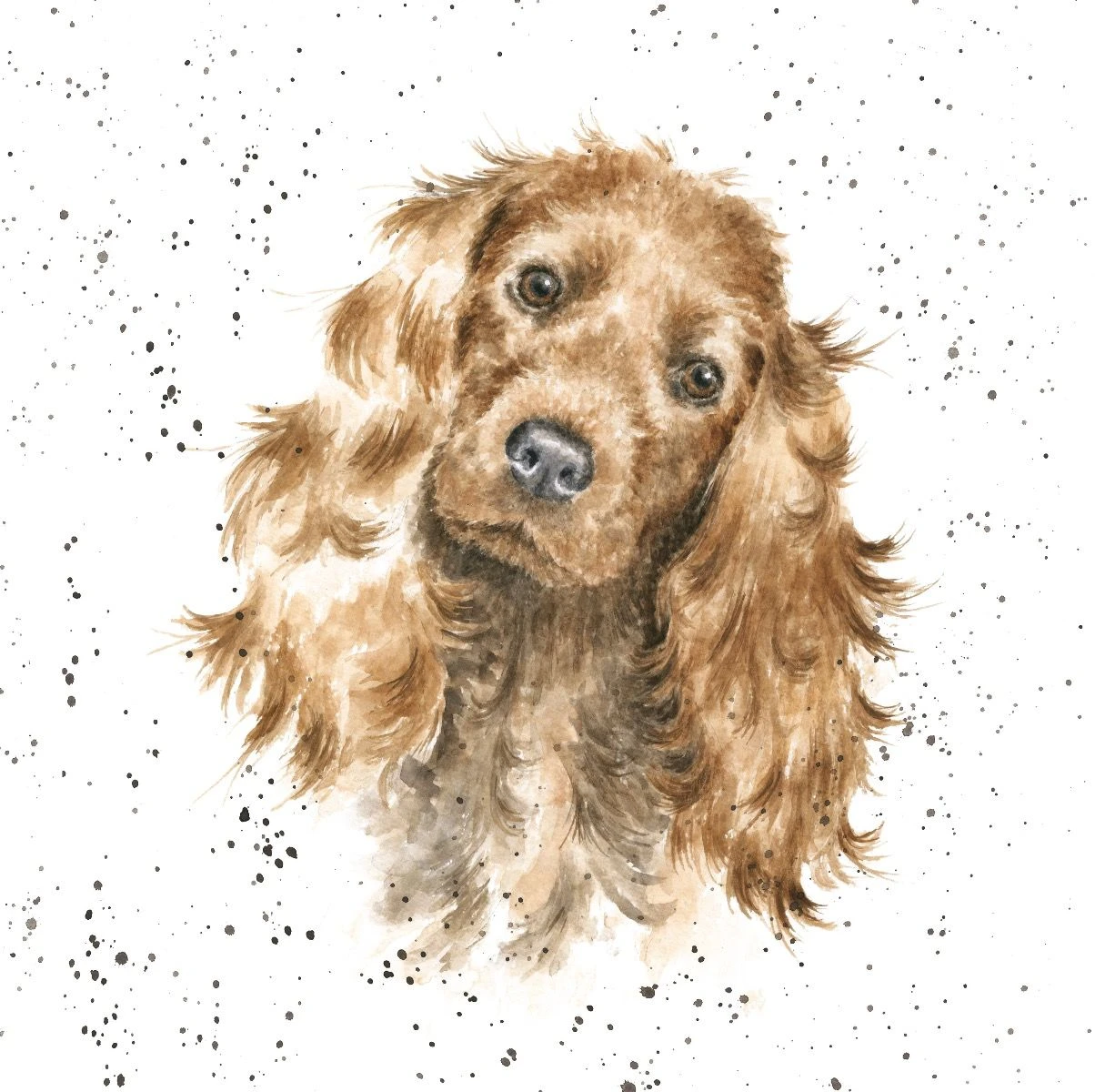 'Fudge' Cocker Spaniel Print 3 'Fudge' Cocker Spaniel Print