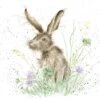 'Clover' Hare Print -Home Furnishing Store poc008